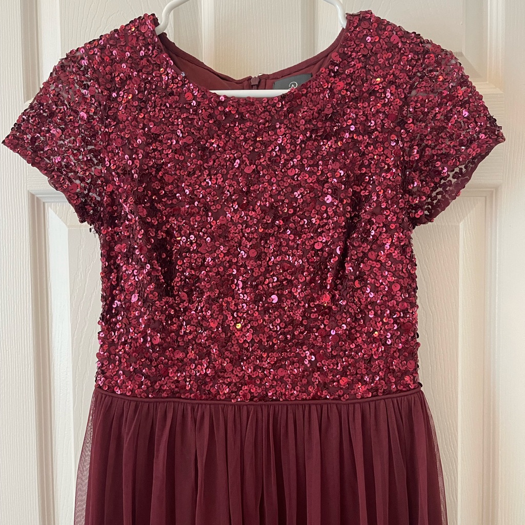 Adriana Papell Burgandy Sequence Dress/Gown